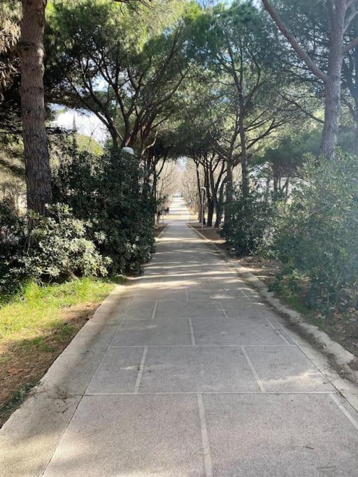 Chez Laurence - Elegant Appartement Climatise Avec Wifi Et Parking ラ・グランド・モット エクステリア 写真